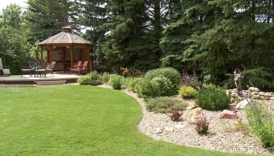 Why do you need lawn care in Edmonton?